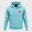 Dubai College | Grade 11 | Hoodie | Color Baby Blue